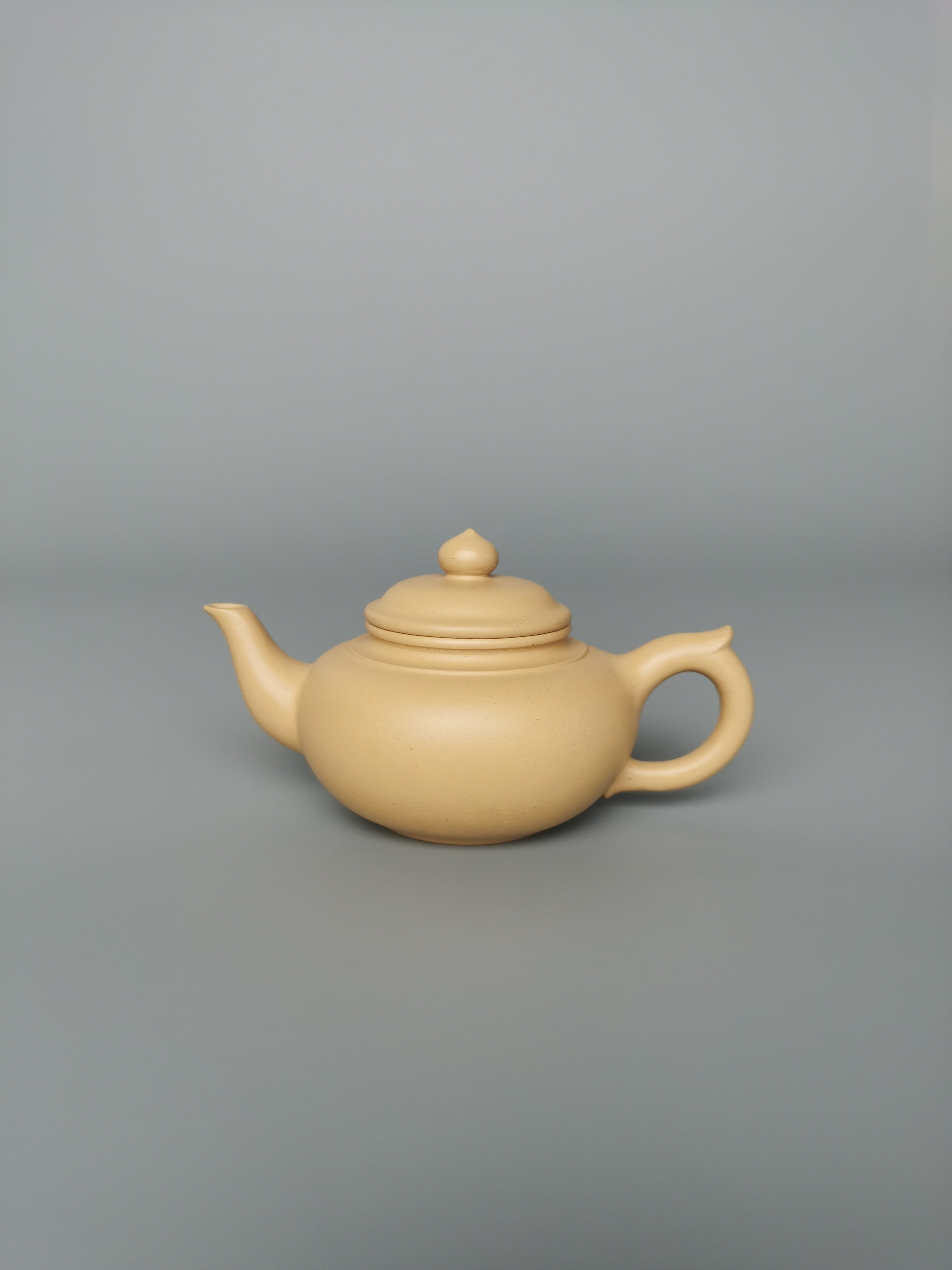 yixing teapot gongfucha teaware small teapot artwork
