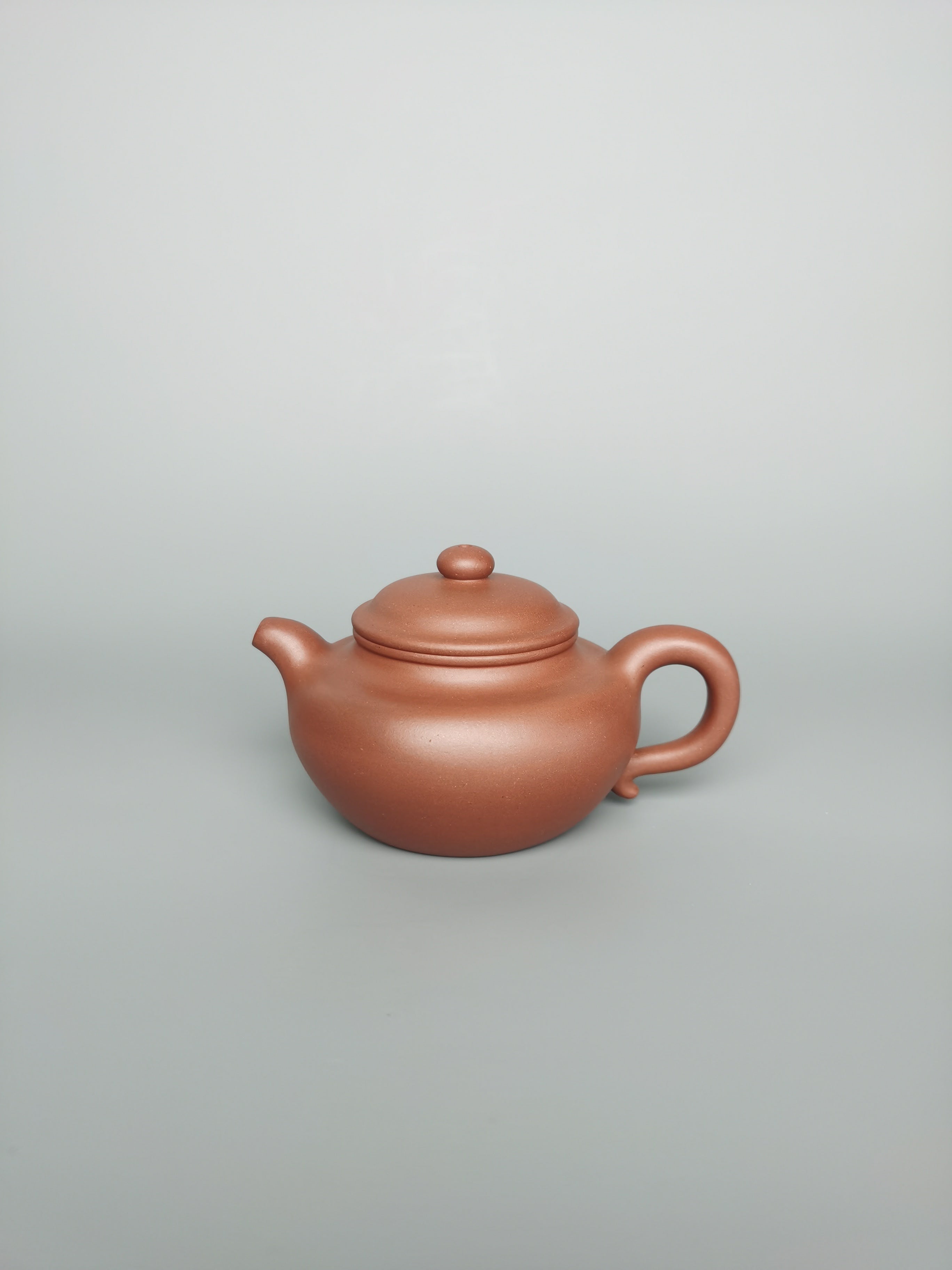 Siyutao Fang Gu teapot 205ml full handcraft teapot